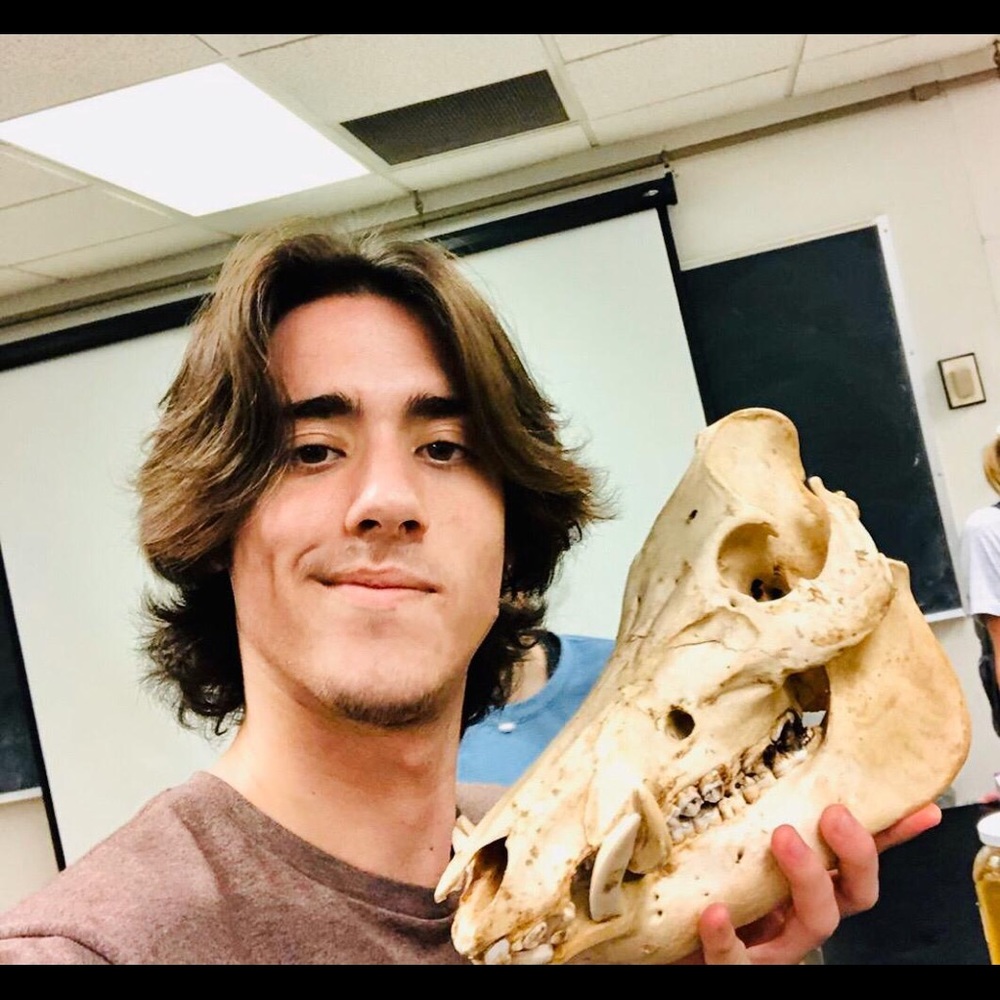 Meet your Posher, Xavier